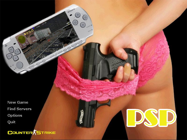 Counter Strike 2D (CS/PSP)